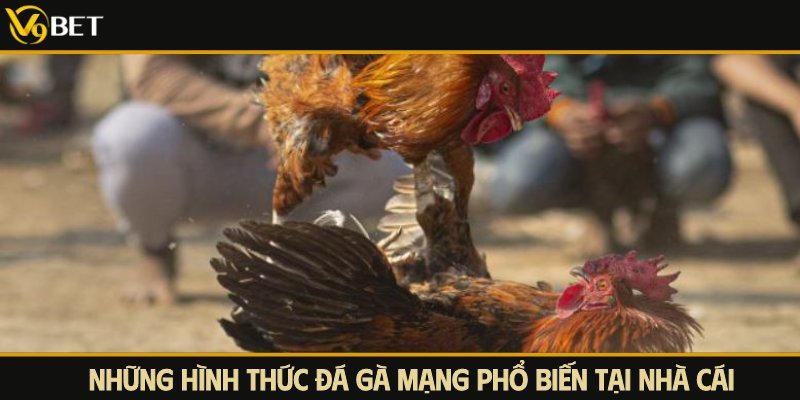 hình thực đá gà mạng phổ biến