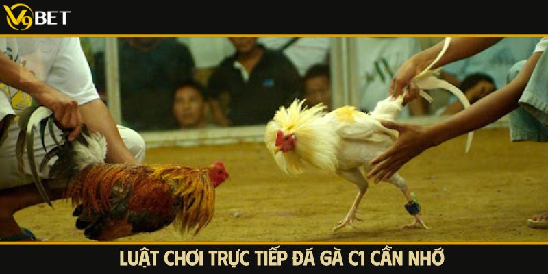 luật chơi đá gà c1