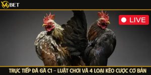 trực tiếp đá gà c1 tại v9bet