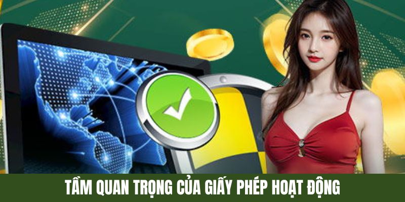 Tầm quan trọng của giấy phép hoạt động